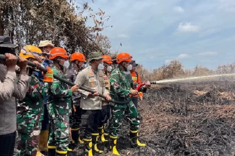 Karhutla Riau Jadi Sorotan Pusat, Pangdam 1 BB Tinjau Langsung Karhutla di Rokan Hilir