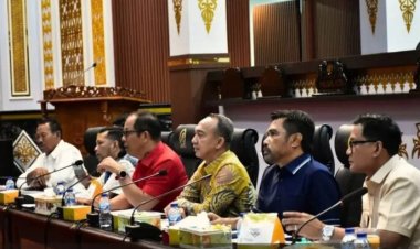 Pansus DPRD Pekanbaru Finalisasi Ranperda SOTK untuk Penguatan Struktur OPD